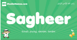 Sagheer arabic boys name and meaning, quranic boys name Sagheer