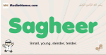 Sagheer muslim boys name and meaning, islamic boys name Sagheer