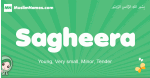 Sagheera arabic girl name and meaning, quranic girls name Sagheera