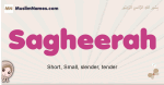 Sagheerah muslim girls name and meaning, islamic girls name Sagheerah