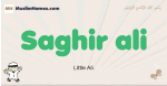Saghir-ali muslim boys name and meaning, islamic boys name Saghir-ali