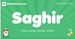 Saghir arabic boys name and meaning, quranic boys name Saghir