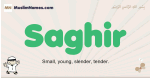 Saghir muslim boys name and meaning, islamic boys name Saghir