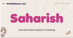 Saharish muslim girls name and meaning, islamic girls name Saharish