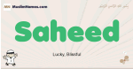 Saheed muslim boys name and meaning, islamic boys name Saheed
