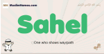 Sahel muslim boys name and meaning, islamic boys name Sahel
