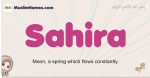 Sahira muslim girls name and meaning, islamic girls name Sahira