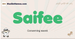 Saifee muslim boys name and meaning, islamic boys name Saifee