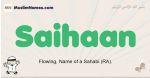 Saihaan muslim boys name and meaning, islamic boys name Saihaan
