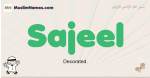 Sajeel muslim boys name and meaning, islamic boys name Sajeel
