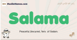 Salama muslim boys name and meaning, islamic boys name Salama