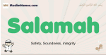 Salamah muslim boys name and meaning, islamic boys name Salamah