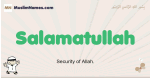 Salamatullah muslim boys name and meaning, islamic boys name Salamatullah