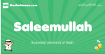 Saleemullah arabic boys name and meaning, quranic boys name Saleemullah