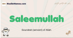Saleemullah muslim boys name and meaning, islamic boys name Saleemullah