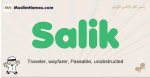Salik muslim boys name and meaning, islamic boys name Salik