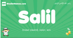 Salil arabic boys name and meaning, quranic boys name Salil