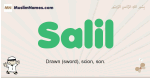 Salil muslim boys name and meaning, islamic boys name Salil