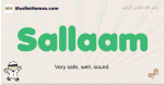 Sallaam muslim boys name and meaning, islamic boys name Sallaam