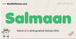Salmaan muslim boys name and meaning, islamic boys name Salmaan