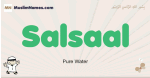 Salsaal muslim boys name and meaning, islamic boys name Salsaal