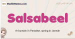 Salsabeel muslim girls name and meaning, islamic girls name Salsabeel
