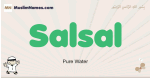 Salsal muslim boys name and meaning, islamic boys name Salsal