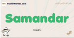 Samandar muslim boys name and meaning, islamic boys name Samandar