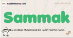 Sammak muslim boys name and meaning, islamic boys name Sammak