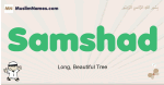 Samshad muslim boys name and meaning, islamic boys name Samshad