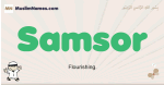 Samsor muslim boys name and meaning, islamic boys name Samsor