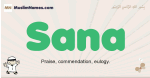 Sana muslim boys name and meaning, islamic boys name Sana