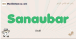 Sanaubar muslim boys name and meaning, islamic boys name Sanaubar