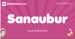 Sanaubur arabic girls name and meaning, muslim girl name Sanaubur