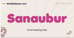 Sanaubur muslim girls name and meaning, islamic girls name Sanaubur