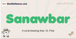 Sanawbar muslim boys name and meaning, islamic boys name Sanawbar