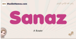 Sanaz muslim girls name and meaning, islamic girls name Sanaz