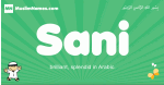 Sani arabic boys name and meaning, quranic boys name Sani