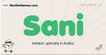 Sani muslim boys name and meaning, islamic boys name Sani