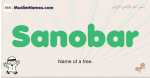 Sanobar muslim boys name and meaning, islamic boys name Sanobar