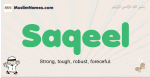 Saqeel muslim boys name and meaning, islamic boys name Saqeel