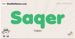 Saqer muslim boys name and meaning, islamic boys name Saqer