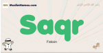 Saqr muslim boys name and meaning, islamic boys name Saqr
