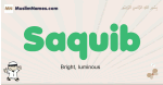 Saquib muslim boys name and meaning, islamic boys name Saquib