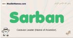 Sarban muslim boys name and meaning, islamic boys name Sarban