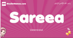Sareea arabic girls name and meaning, muslim girl name Sareea