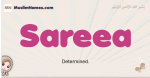 Sareea muslim girls name and meaning, islamic girls name Sareea