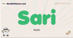Sari muslim boys name and meaning, islamic boys name Sari
