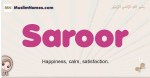 Saroor muslim girls name and meaning, islamic girls name Saroor