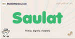 Saulat muslim boys name and meaning, islamic boys name Saulat